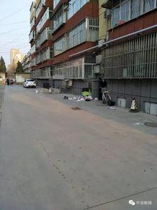 平谷新闻爆料,揭秘当地热点事件背后的真相